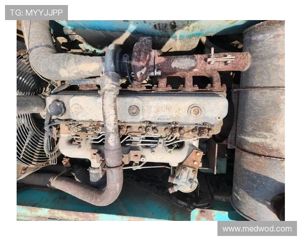 挖掘机高压油管脉动疲劳寿命